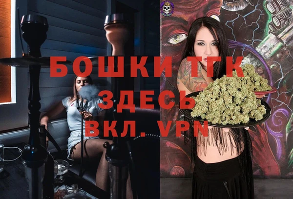 хмурый Белокуриха