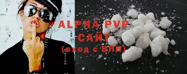 хмурый Белокуриха
