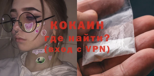 хмурый Белокуриха