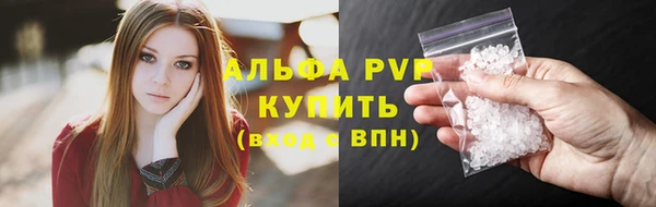 гашик Беломорск