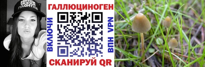 Галлюциногенные грибы мицелий Заречный